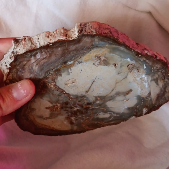 Petrified wood slice 15.2 oz - Picture 4 of 5